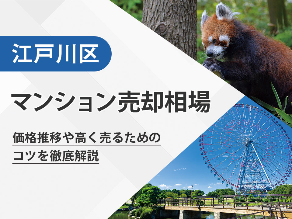 【2025年最新】江戸川区（東京都）のマンション売却相場は？価格推移や高く売るためのコツを徹底解説