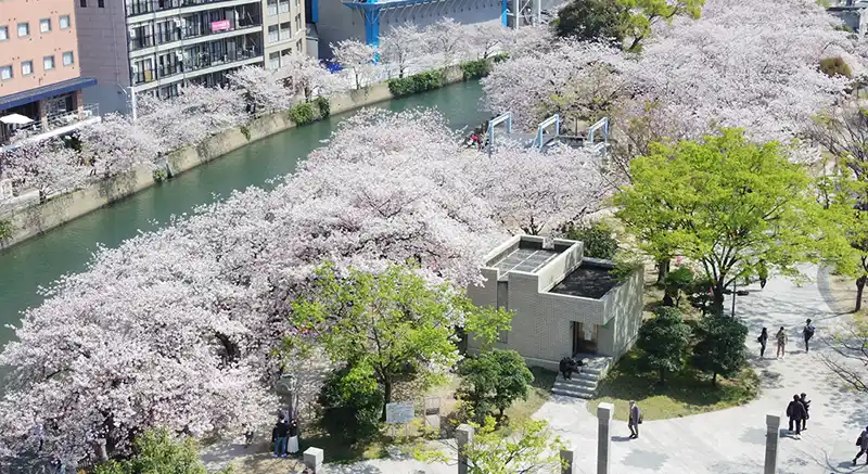天神中央公園